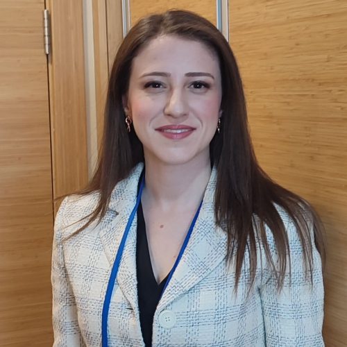 fotom-sikişmiş-hali-boyut